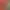 https://shared.akamai.steamstatic.com/store_item_assets/steam/apps/3491200/header.jpg?t=1739873278