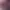 https://shared.akamai.steamstatic.com/store_item_assets/steam/apps/3499540/header.jpg?t=1750956703
