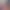https://shared.akamai.steamstatic.com/store_item_assets/steam/apps/3504770/header.jpg?t=1744665936