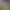 https://shared.akamai.steamstatic.com/store_item_assets/steam/apps/3511280/header.jpg?t=1741041242