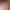 https://shared.akamai.steamstatic.com/store_item_assets/steam/apps/3513780/d07df833fc8162d265031ff6bfc6cb9fd8f00988/header.jpg?t=1748444488