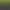 https://shared.akamai.steamstatic.com/store_item_assets/steam/apps/3517290/header.jpg?t=1741633134
