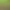 https://shared.akamai.steamstatic.com/store_item_assets/steam/apps/3521740/header.jpg?t=1740770647