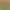 https://shared.akamai.steamstatic.com/store_item_assets/steam/apps/3522700/c363b0caf378a25f18c7138da0d1c87fcc18edc7/header.jpg?t=1748831049