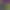 https://shared.akamai.steamstatic.com/store_item_assets/steam/apps/3530080/header.jpg?t=1741390273