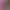 https://shared.akamai.steamstatic.com/store_item_assets/steam/apps/3530370/header.jpg?t=1744919260
