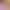 https://shared.akamai.steamstatic.com/store_item_assets/steam/apps/3538780/header.jpg?t=1741885707