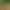 https://shared.akamai.steamstatic.com/store_item_assets/steam/apps/3543710/header.jpg?t=1748597502