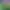 https://shared.akamai.steamstatic.com/store_item_assets/steam/apps/3549370/daa113b72d52ff0c1ac714c1b8ae642170358e59/header.jpg?t=1743591397