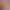 https://shared.akamai.steamstatic.com/store_item_assets/steam/apps/3554110/f0b126a3b452ac265235f57bcda1629b69093802/header.jpg?t=1743038182