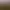 Drizzlepath.