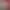 https://shared.akamai.steamstatic.com/store_item_assets/steam/apps/3561260/6b7cd0101b518edabe969142cb54017c27b977e6/header.jpg?t=1747955891
