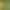 https://shared.akamai.steamstatic.com/store_item_assets/steam/apps/3564530/e5702652398166adf6160d69537b99e53e4a0cc4/header.jpg?t=1742660653