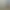 theHunter: Call of the Wild™ - Alberta Hunting Preserve.