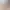 https://shared.akamai.steamstatic.com/store_item_assets/steam/apps/3581210/c66dbd9837997099e317befa51257376717bfc07/header.jpg?t=1747103470