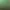 https://shared.akamai.steamstatic.com/store_item_assets/steam/apps/3590/header.jpg?t=1738970324