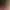 https://shared.akamai.steamstatic.com/store_item_assets/steam/apps/3591680/7503916a0696670b102e545154ba88c0b03cbdde/header.jpg?t=1744972772