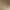 https://shared.akamai.steamstatic.com/store_item_assets/steam/apps/359260/header.jpg?t=1738598370