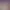https://shared.akamai.steamstatic.com/store_item_assets/steam/apps/359510/header.jpg?t=1747393024