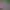 https://shared.akamai.steamstatic.com/store_item_assets/steam/apps/3600250/69ff0311912878d48a0a7cb7523639b51370982b/header.jpg?t=1744422110
