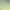 https://shared.akamai.steamstatic.com/store_item_assets/steam/apps/360380/header.jpg?t=1574483895
