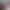 https://shared.akamai.steamstatic.com/store_item_assets/steam/apps/3605440/872258a43291fbee72f30dc40e106866937358ba/header.jpg?t=1746213004