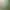 https://shared.akamai.steamstatic.com/store_item_assets/steam/apps/3612390/0a604a02d53e5572037072fdac9f9de00c7c7b63/header.jpg?t=1744800684