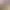 https://shared.akamai.steamstatic.com/store_item_assets/steam/apps/3619730/3993b63ee931e3318b789dfa947428ac376d2b82/header.jpg?t=1749747632