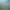 https://shared.akamai.steamstatic.com/store_item_assets/steam/apps/362160/header.jpg?t=1612386319