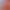https://shared.akamai.steamstatic.com/store_item_assets/steam/apps/3626750/1d88a4b3a5855f50ed548403d1439702d79afbbe/header.jpg?t=1750078492