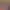https://shared.akamai.steamstatic.com/store_item_assets/steam/apps/3628920/24bf8d398e3be556d52476f3add75753138b3cbd/header.jpg?t=1744798610