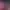 https://shared.akamai.steamstatic.com/store_item_assets/steam/apps/3629560/20da903a1ea307220d2c97c031f0e4cc271e0b72/header.jpg?t=1748556128