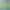 https://shared.akamai.steamstatic.com/store_item_assets/steam/apps/3641990/48e0a7cd0076739a2cdc6b1369aa0d759a5b2cbf/header.jpg?t=1746984841