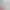 https://shared.akamai.steamstatic.com/store_item_assets/steam/apps/3655240/9a1cdb2f97f6035dc4dbdf8bb1465fd26e48d762/header.jpg?t=1747826673