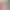 https://shared.akamai.steamstatic.com/store_item_assets/steam/apps/3660090/c7a4c135819e1a66f5e8162c5fb34932a8625fa4/header.jpg?t=1748027325