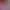https://shared.akamai.steamstatic.com/store_item_assets/steam/apps/3665120/f0d0afdb91896342de6ece9c43f80a97f6516537/header.jpg?t=1748537716