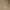 https://shared.akamai.steamstatic.com/store_item_assets/steam/apps/3678870/171b845425061b49e8de4195bd690744f75a1964/header.jpg?t=1749704720