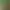 https://shared.akamai.steamstatic.com/store_item_assets/steam/apps/368730/header.jpg?t=1728654681