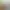https://shared.akamai.steamstatic.com/store_item_assets/steam/apps/3714790/911133d59c01c1159967646162033b23b2cd9310/header_russian.jpg?t=1748363928