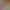 https://shared.akamai.steamstatic.com/store_item_assets/steam/apps/3716160/6894652ee1c971d56c4e05c311ede798aa91817e/header.jpg?t=1748601096