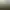BugLab Simulator.