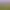 https://shared.akamai.steamstatic.com/store_item_assets/steam/apps/3729520/09ceaf6adf47ebf287d91ff29ee50f0debf01af7/header.jpg?t=1749295221