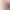 https://shared.akamai.steamstatic.com/store_item_assets/steam/apps/374030/header.jpg?t=1733584504