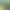 https://shared.akamai.steamstatic.com/store_item_assets/steam/apps/3754560/a879e6bd7ef3e99fc111a21e6c3c5e118e054f38/header.jpg?t=1750672753