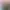 https://shared.akamai.steamstatic.com/store_item_assets/steam/apps/399670/header.jpg?t=1725191257