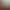 Total War: WARHAMMER - Blood for the Blood God.