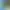 Tidalis.