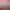 https://shared.akamai.steamstatic.com/store_item_assets/steam/apps/404690/header.jpg?t=1750430759
