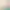 https://shared.akamai.steamstatic.com/store_item_assets/steam/apps/406150/header.jpg?t=1695751806