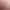 https://shared.akamai.steamstatic.com/store_item_assets/steam/apps/418460/header.jpg?t=1731945332